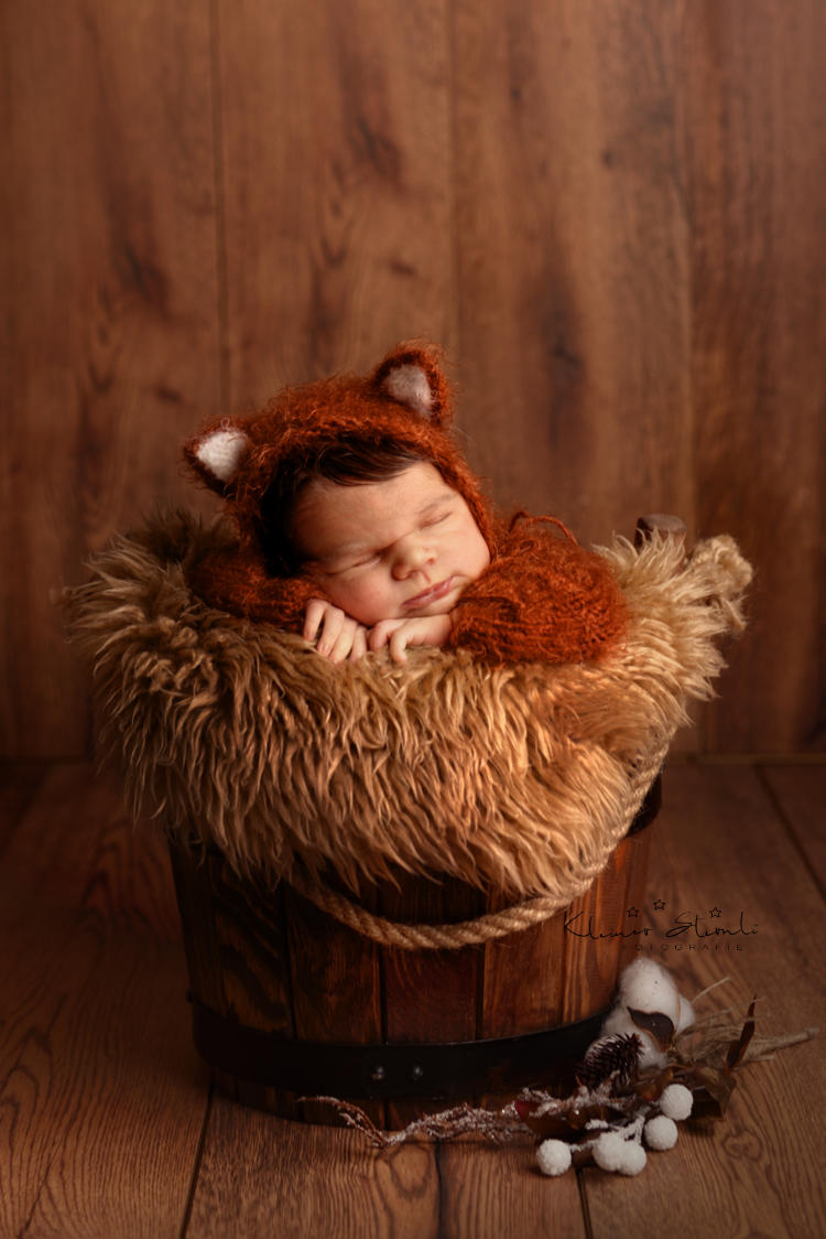 Neugeborenes Fotoshooting in Zürich ¦ Baby in einem Eimer